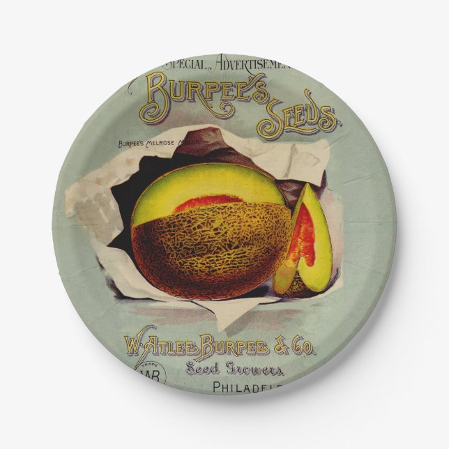 Cantaloupe Seed Advertising Art Antique Pappteller (Vorderseite)