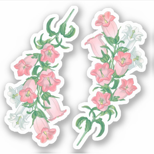 Canterbury Bells for St. Thomas Becket (fL) - Aufkleber (Vorderseite)