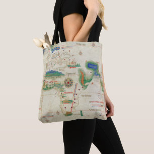 Cantino Planisphere   1502