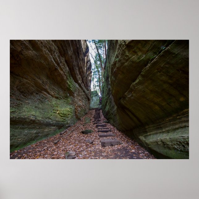 Cantwell Cliffs, Hocking Hills Staat Park, Ohio Poster (Vorne)