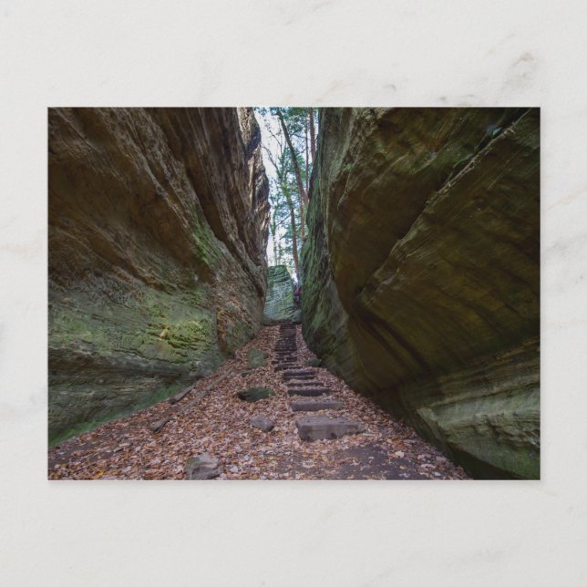 Cantwell Cliffs, Hocking Hills Staat Park, Ohio Postkarte (Vorderseite)