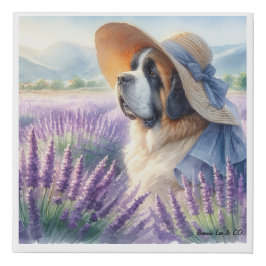 Canvas drucken Saint Bernard im Bereich Lavendel Künstlicher Leinwanddruck