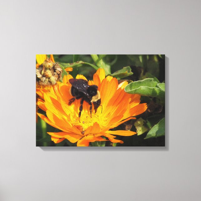 Canvas Print - Calendula und Biene Leinwanddruck (Vorderseite)