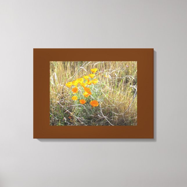 Canvas Print - California Mohn Leinwanddruck (Vorderseite)