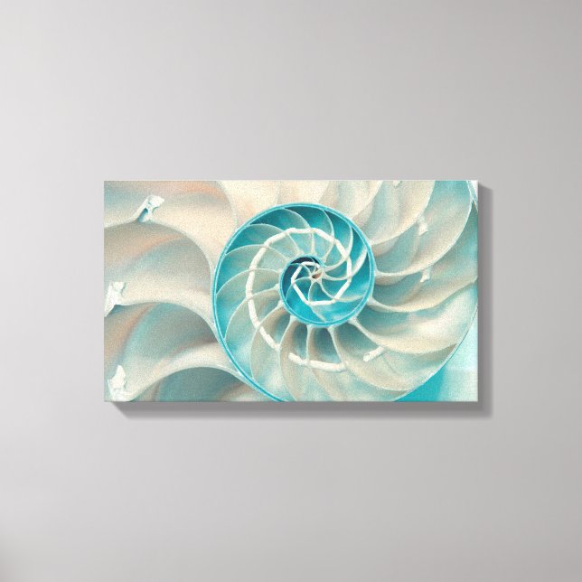 Canvas Print-Fibonacci Sequence in Nature Sea Life Leinwanddruck (Vorderseite)