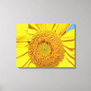 Canvas Print - Fly on Sunflower Leinwanddruck