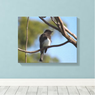 Canvas print - flycatcher in tree leinwanddruck