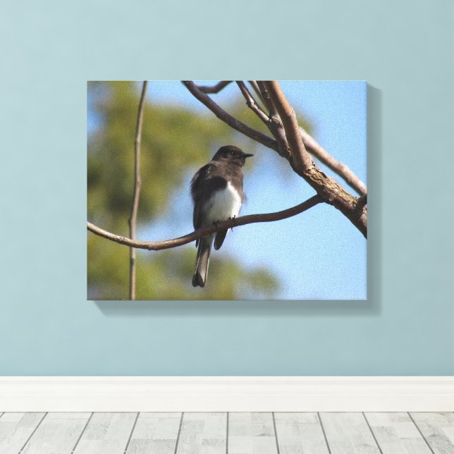 Canvas print - flycatcher in tree leinwanddruck (Insitu (Holzboden))