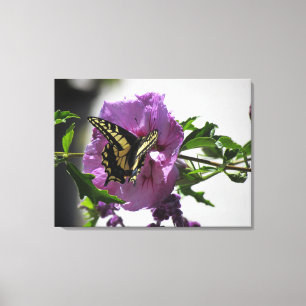 Canvas Print - Frack Butterfly Leinwanddruck