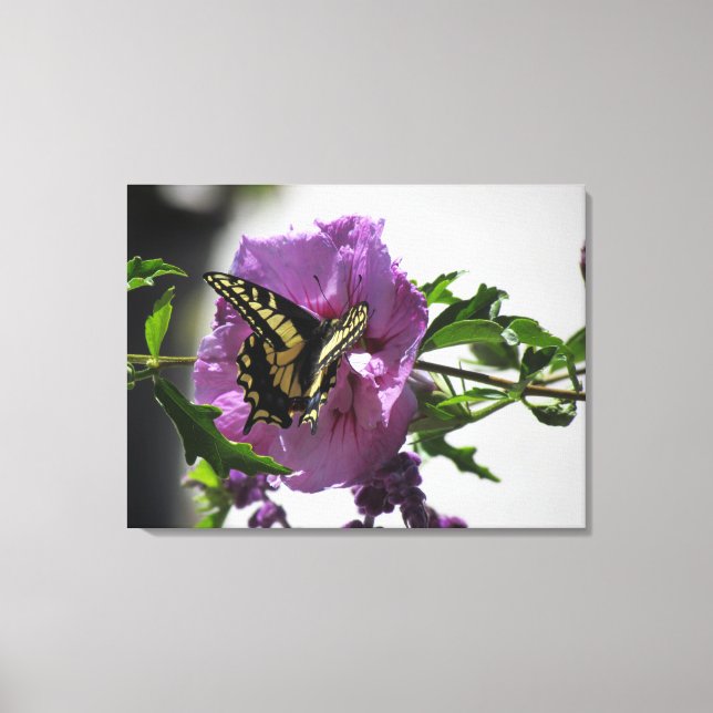 Canvas Print - Frack Butterfly Leinwanddruck (Vorderseite)
