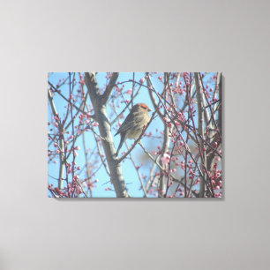 Canvas Print - Frühjahrstagung Leinwanddruck