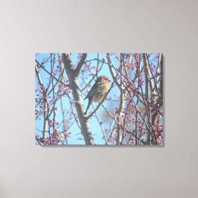 Canvas Print - Frühjahrstagung Leinwanddruck (Vorderseite)