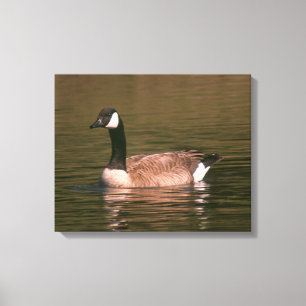 Canvas print - Gänse Leinwanddruck