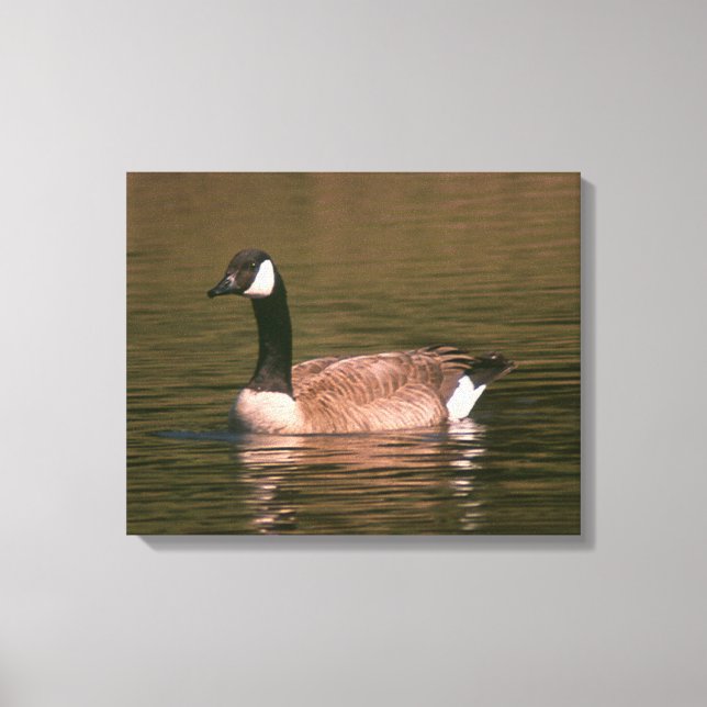 Canvas print - Gänse Leinwanddruck (Vorderseite)