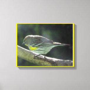 Canvas print - Gelber Brustvogel auf Zweig Leinwanddruck