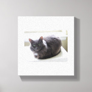 Canvas Print Leinwanddruck