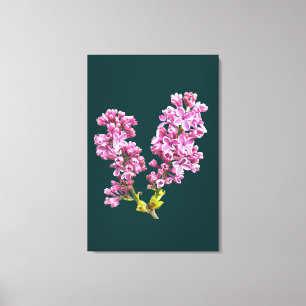 Canvas Print - Lilac Blossoms Leinwanddruck