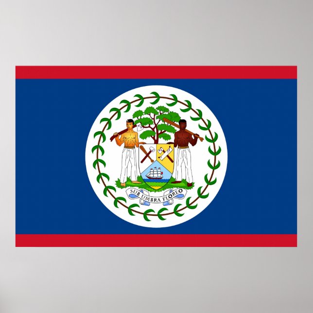 Canvas Print mit Flag von Belize Poster (Vorne)