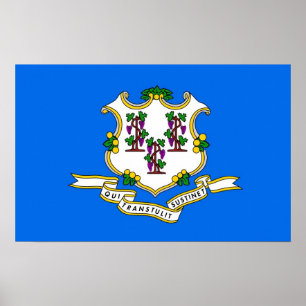 Canvas Print mit Flag von Connecticut, USA. Poster