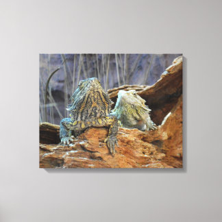 Canvas Print mit Neugierigen Leinwanddruck