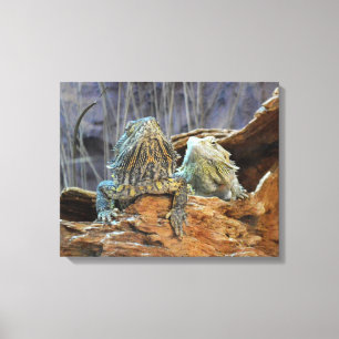 Canvas Print mit Neugierigen Leinwanddruck