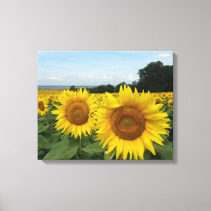 Canvas Print mit Sonnenblumen Leinwanddruck