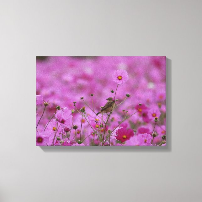 Canvas Print - Morning Glory Leinwanddruck (Vorderseite)