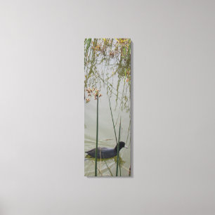 Canvas Print - Mud Hen in Reeds Leinwanddruck