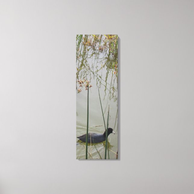 Canvas Print - Mud Hen in Reeds Leinwanddruck (Vorderseite)