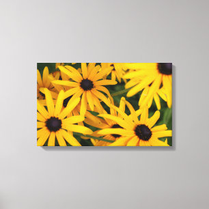 Canvas Print of Black-mit Augen Susans Leinwanddruck