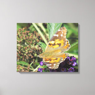 Canvas Print - Orange Butterfly Leinwanddruck