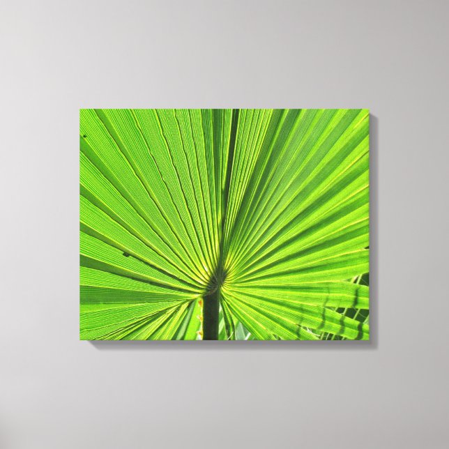 Canvas Print - Palm Frontend Leinwanddruck (Vorderseite)