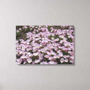 Canvas Print - Primrose Blüten Leinwanddruck