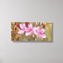 Canvas print - Rosa Guara Leinwanddruck