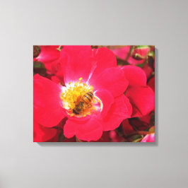 Canvas Print - Sammlung von Pollen Leinwanddruck
