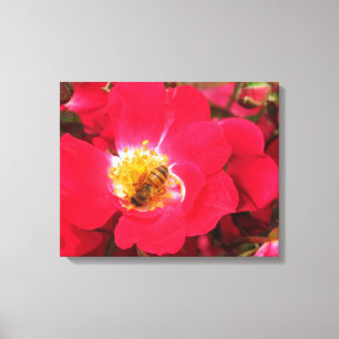 Canvas Print - Sammlung von Pollen Leinwanddruck