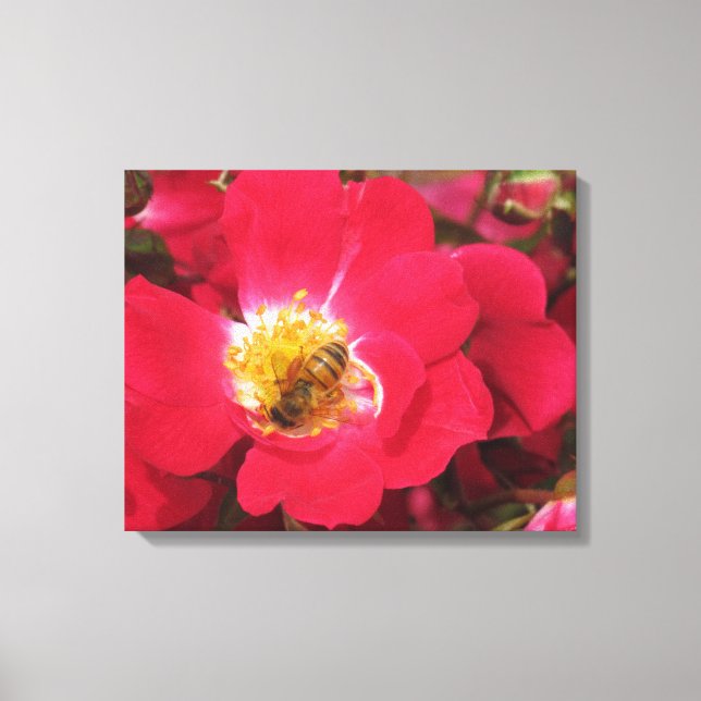 Canvas Print - Sammlung von Pollen Leinwanddruck (Vorderseite)