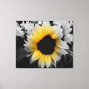 Canvas Print - Sonnenblumen Leinwanddruck