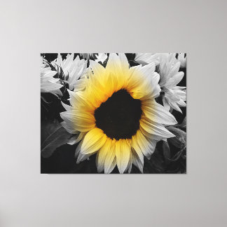 Canvas Print - Sonnenblumen Leinwanddruck