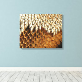 Canvas Print - Sonnenblumensaat Leinwanddruck