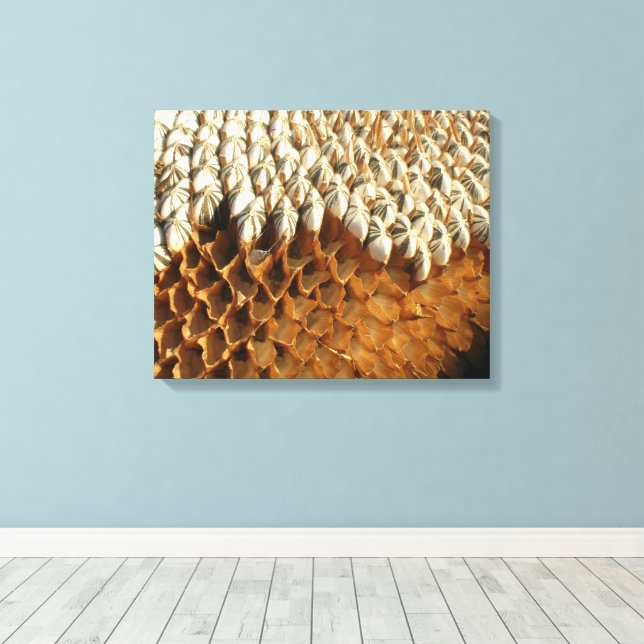 Canvas Print - Sonnenblumensaat Leinwanddruck (Insitu (Holzboden))