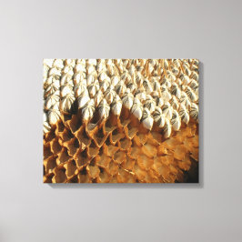 Canvas Print - Sonnenblumensaat Leinwanddruck