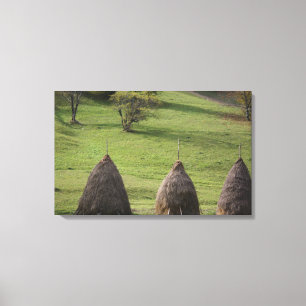 Canvas Print Straw Bales Leinwanddruck