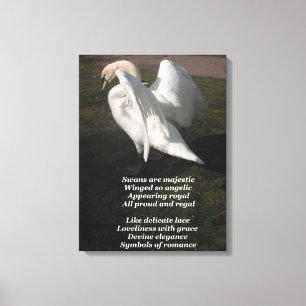Canvas Print Swans werden von Ladee Basset großart Leinwanddruck