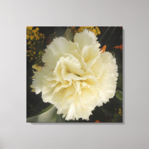 Canvas Print White Carnation Beauty Leinwanddruck