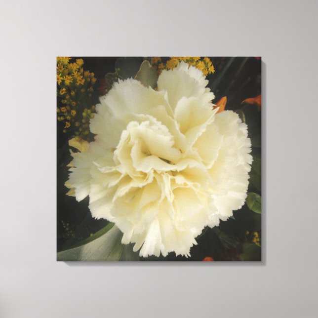 Canvas Print White Carnation Beauty Leinwanddruck (Vorderseite)