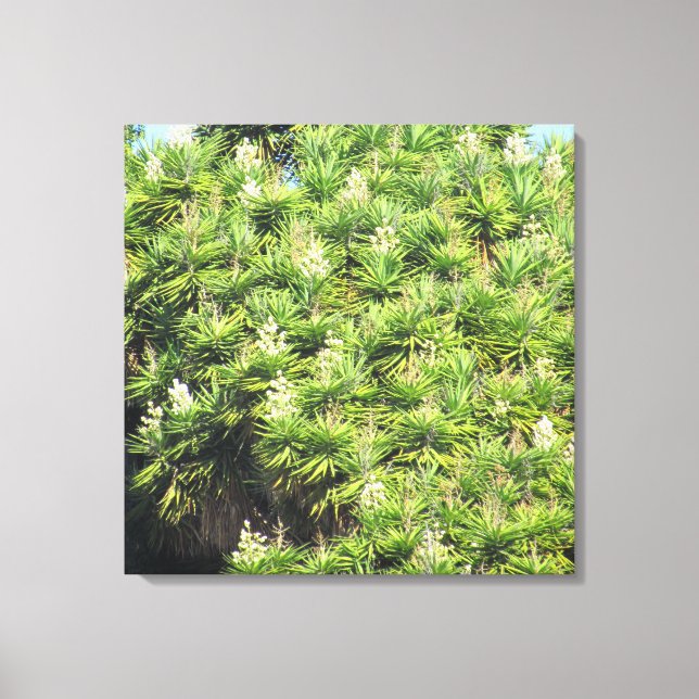 Canvas Print - Yucca-Pflanze (2 Bedienfelder) Leinwanddruck (Vorderseite)