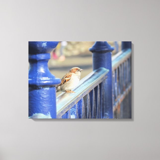 Canvas print - Zaun Leinwanddruck (Vorderseite)