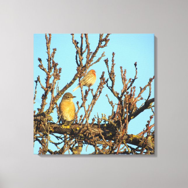 Canvas Print - Zwei Vögel in Branchen Leinwanddruck (Vorderseite)