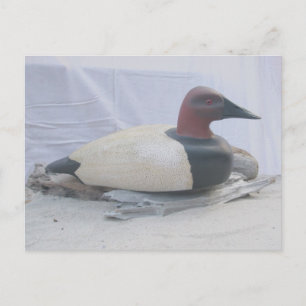 Canvasback Duck Decoy Postcard Postkarte